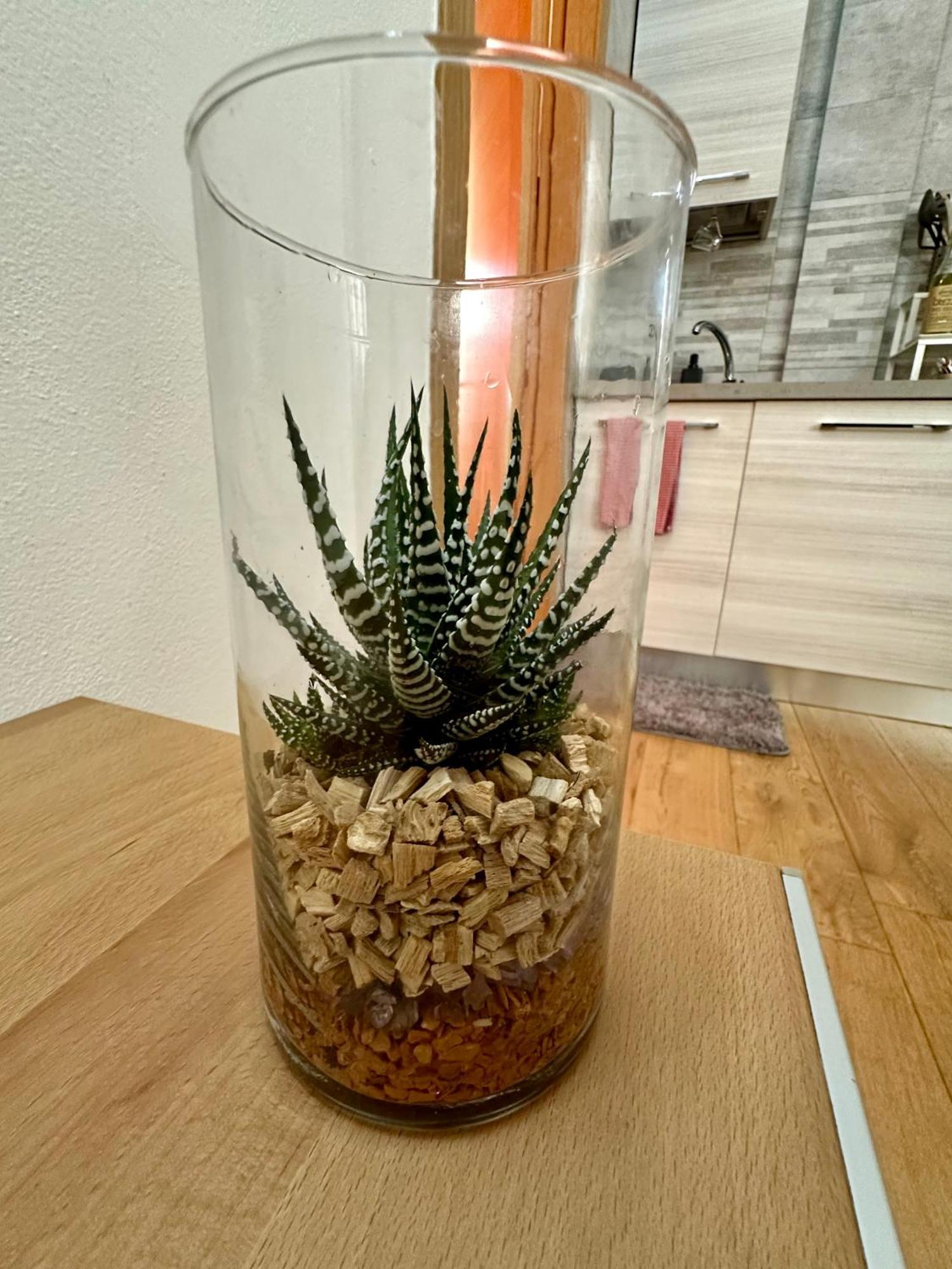 Casalory Rent Apartment פירנצה מראה חיצוני תמונה